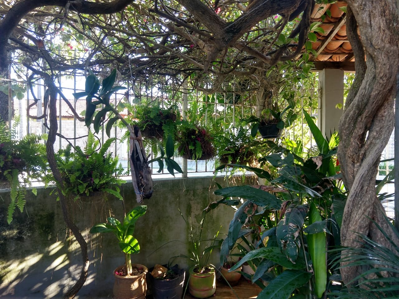 CASA À VENDA – JARDIM SOLARES | R$ 270.000,00