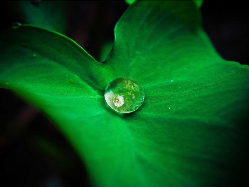 Casa 1 Dormitório — Parque dos Desejos, Próxima à Rodovia