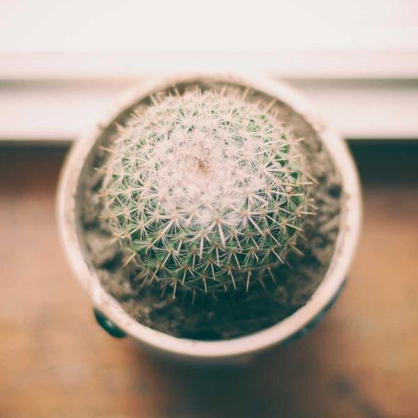 iPhone 15 128GB — Verde Seminovo